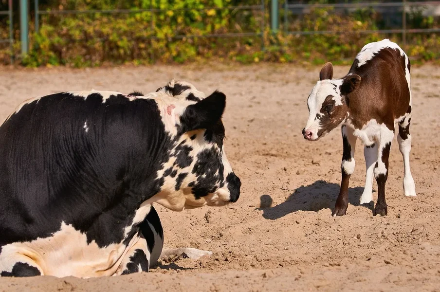 0068._TIERPARK__DSC2155.jpg