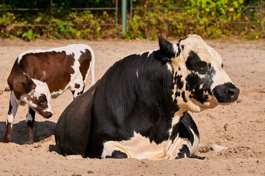 0069._TIERPARK__DSC2161.jpg