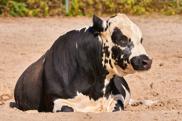 0071._TIERPARK__DSC2179.jpg 0071._TIERPARK__DSC2179.jpg