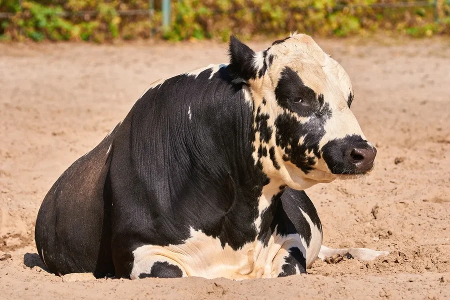 0071._TIERPARK__DSC2179.jpg