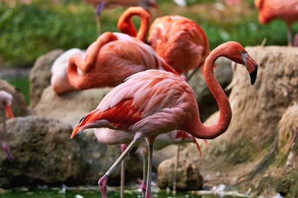 0084._TIERPARK__DSC2474.jpg 0084._TIERPARK__DSC2474.jpg