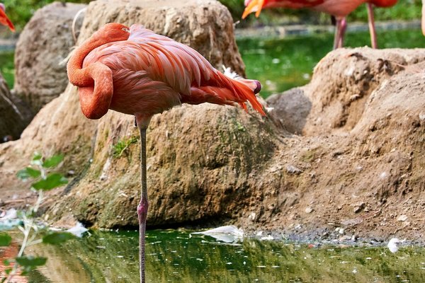 0087._TIERPARK__DSC2481.jpg 0087._TIERPARK__DSC2481.jpg