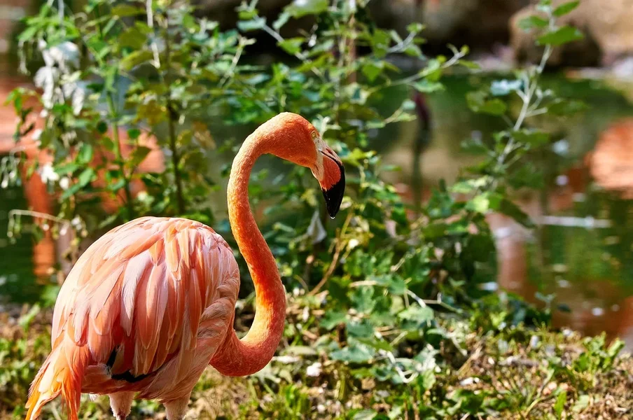 0088._TIERPARK__DSC2506.webp