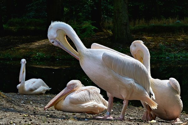 0130._TIERPARK__C719267.jpg