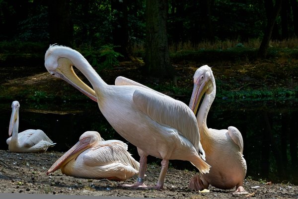 0131._TIERPARK__C719268.jpg