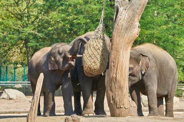 0140._TIERPARK__DSC2253.jpg