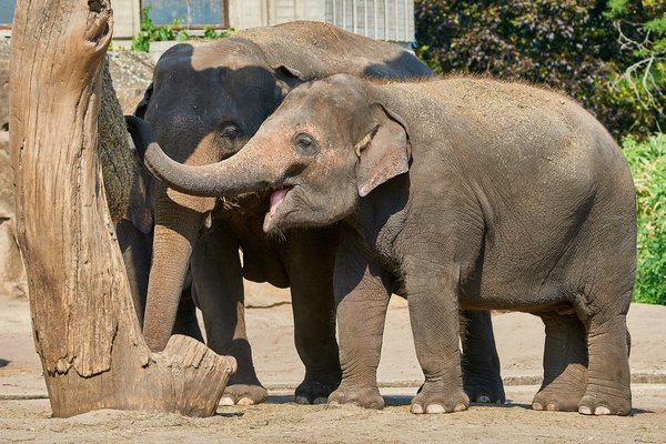 0146._TIERPARK__DSC2280-22.jpg