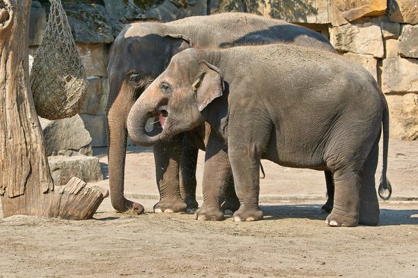 0147._TIERPARK__DSC2297.jpg