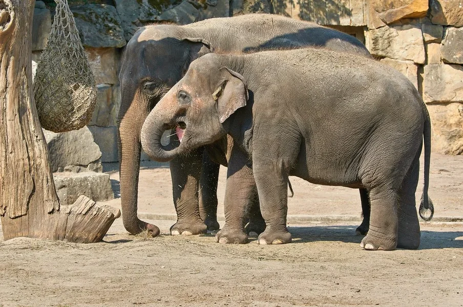 0147._TIERPARK__DSC2297.webp