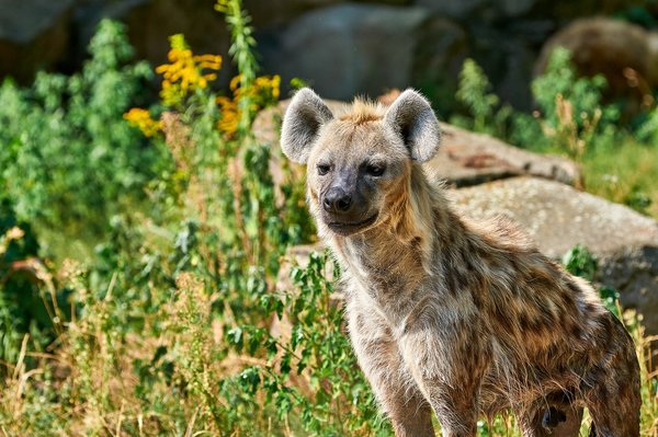 0179._TIERPARK__DSC2339.jpg