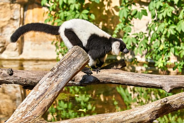 0183._TIERPARK__DSC2372.jpg