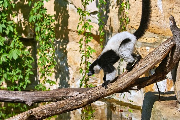 0186._TIERPARK__DSC2377.jpg