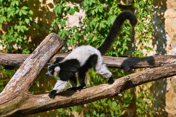 0188._TIERPARK__DSC2380.jpg