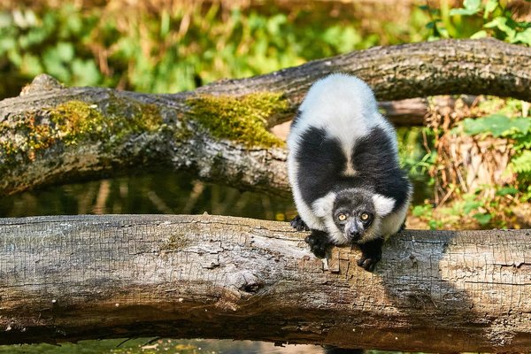 0192._TIERPARK__DSC2389.jpg