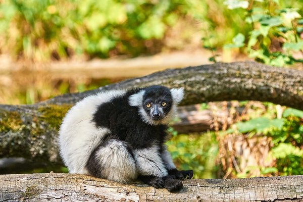 0196._TIERPARK__DSC2420.jpg