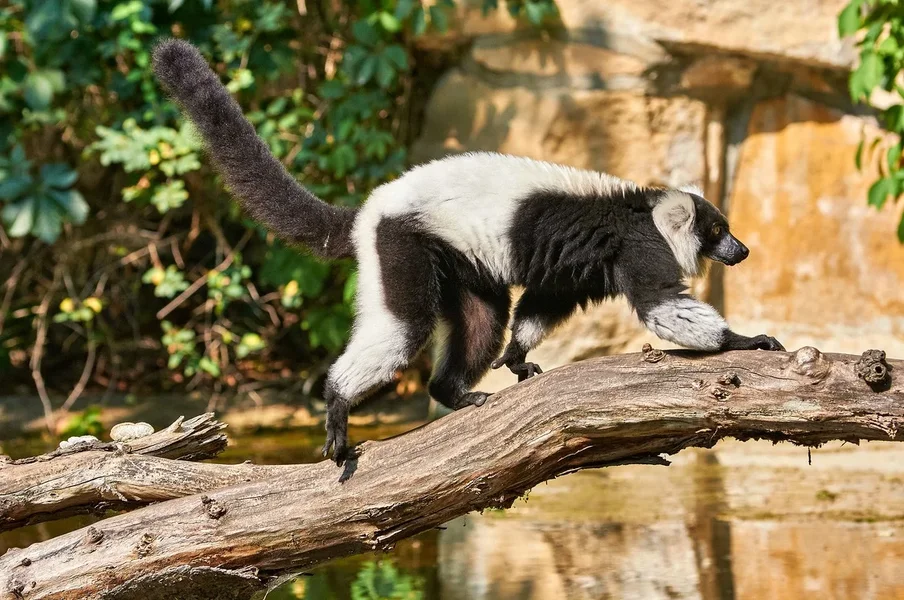 0199._TIERPARK__DSC2432.webp