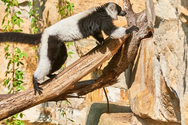 0203._TIERPARK__DSC2438.jpg