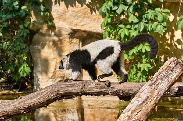 0205._TIERPARK__DSC2440.jpg