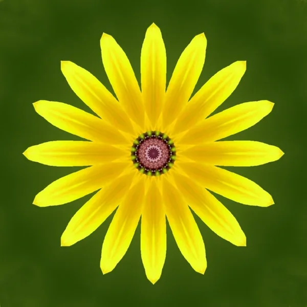 GelberBlütensternCLLMa60UADRATVIELFACHFIN_666x666.webp