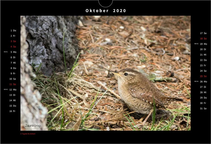 10-2 Oktober.webp