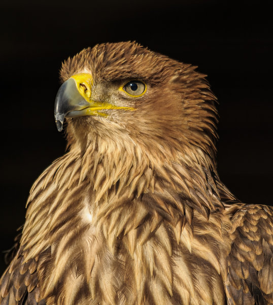 Hellenthal 2011_076.jpg