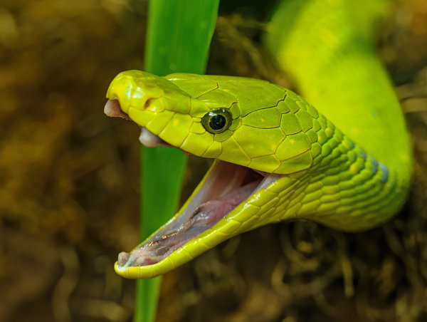 Terrazoo 15.09.10_038.jpg