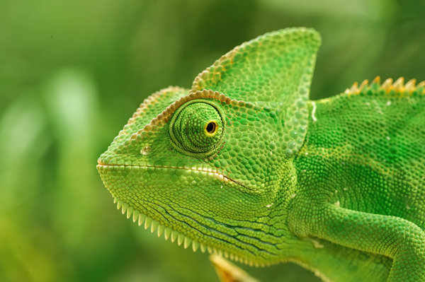 Terrazoo 15.09.10_052.jpg