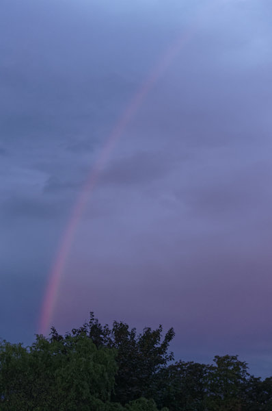 _IGP2146_DxO.jpg