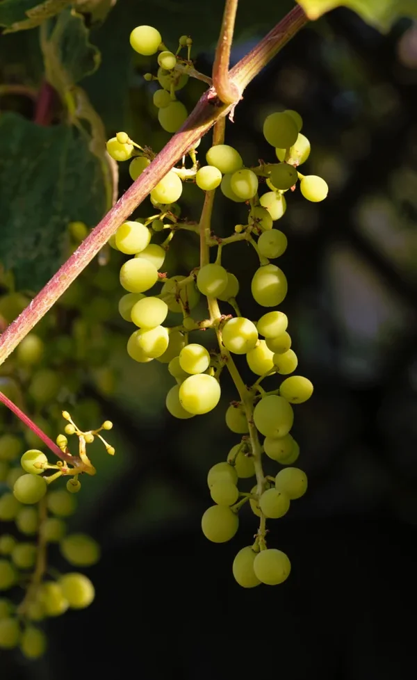 _small__IMG0220_2_DxO.webp