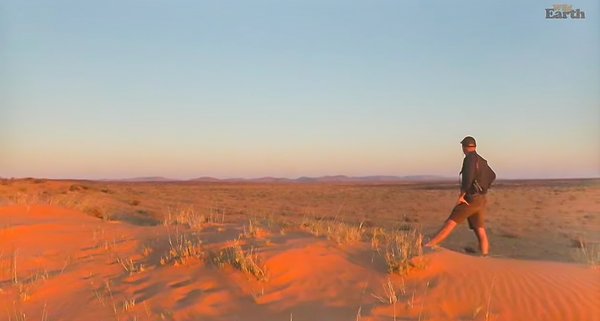 FO wildearth 1020202020-08-04 (14).jpg