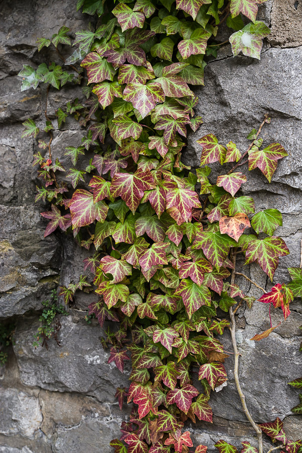 20201010-_IMG7904 Kulmbach.JPG