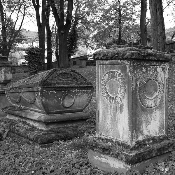 20201010-_IMG7910 Kulmbach-2.JPG