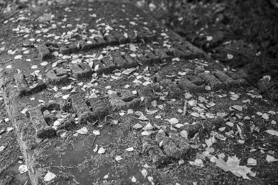 20201010-_IMG8038 Kulmbach-2.JPG