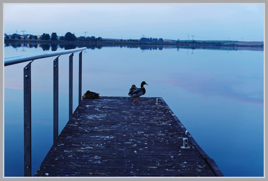 _small__IMG4132_Nik_DxO.JPG _small__IMG4132_Nik_DxO.JPG