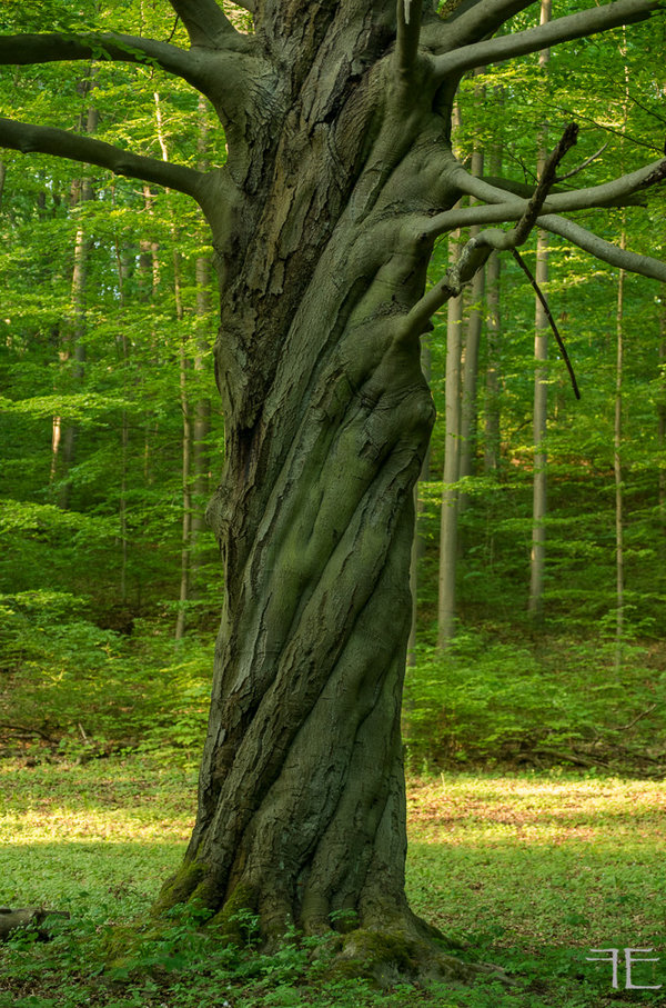 20180503-_IGP1214.jpg