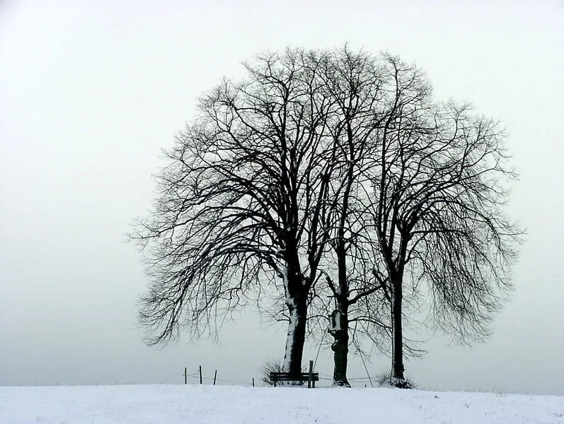 Winter_Bildgröße ändern.webp