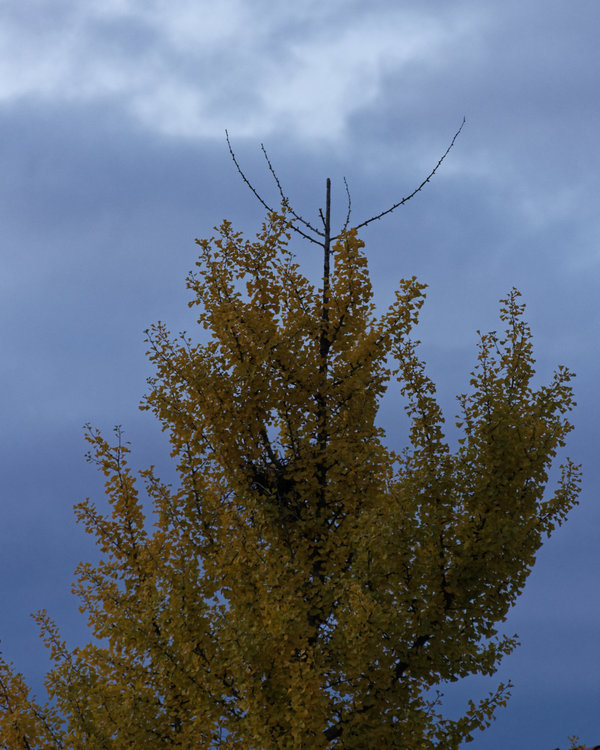 _IGP2149_DxO.jpg