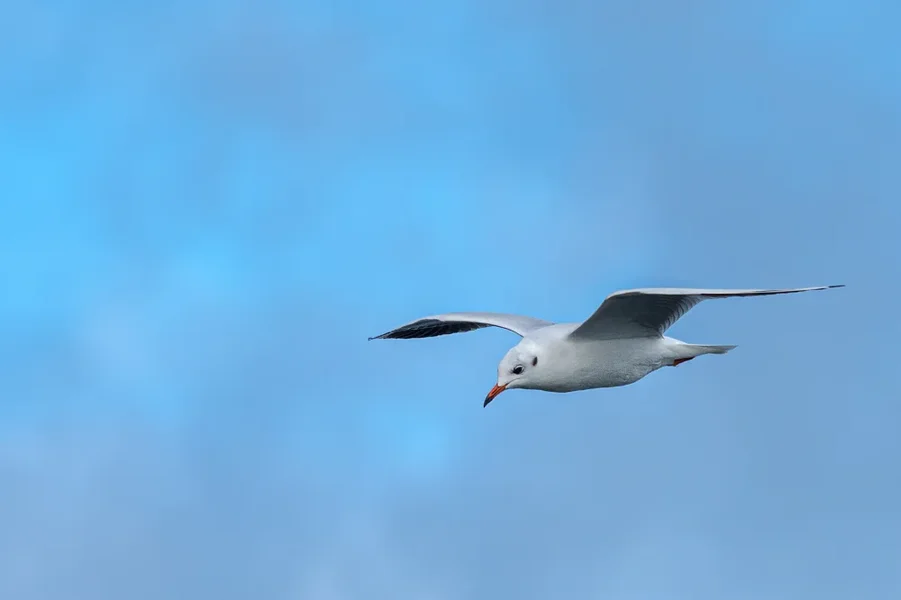 Rügen 2020_129.jpg