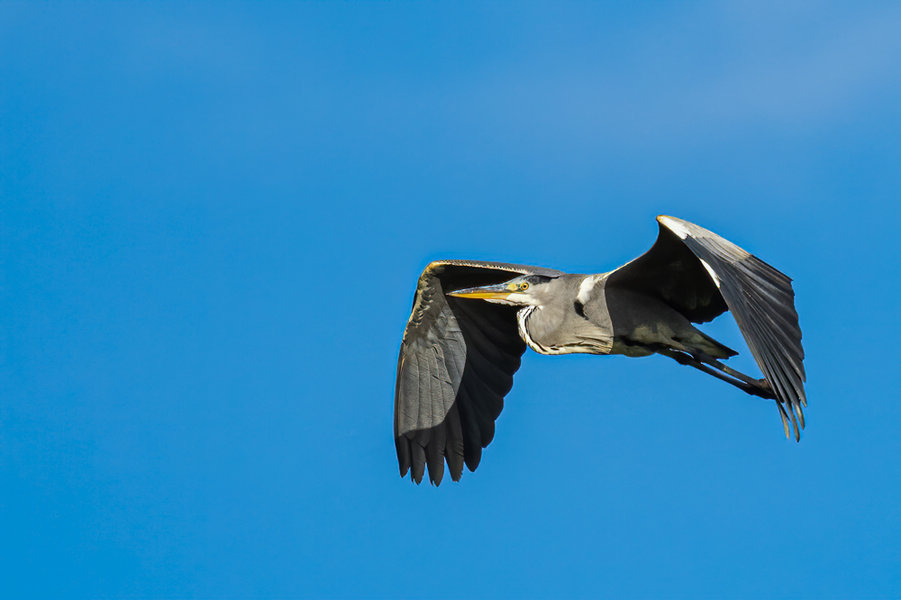 Rügen 2020_276.jpg Rügen 2020_276.jpg