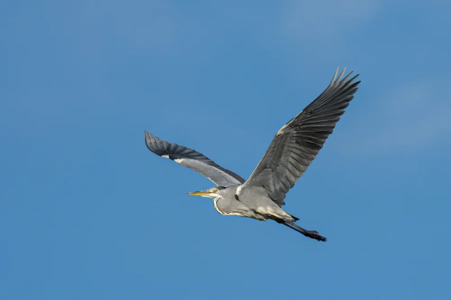 Rügen 2020_277.webp
