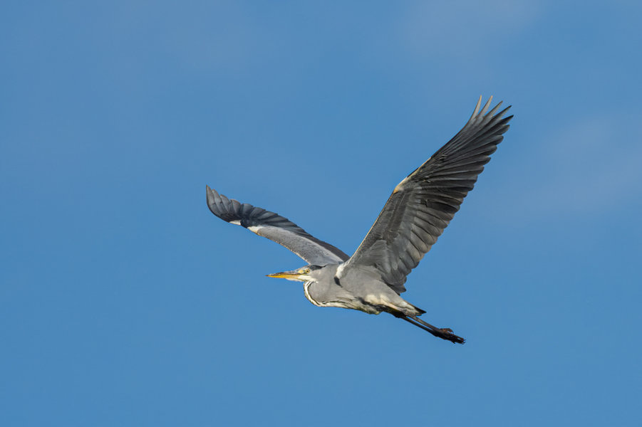 Rügen 2020_277.jpg Rügen 2020_277.jpg