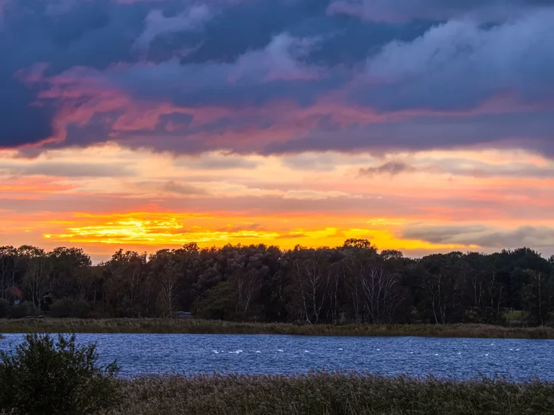 Rügen 2020_17.webp
