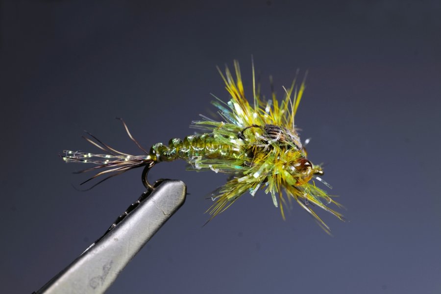 NympheSL2Si10Macro_998x666.jpg NympheSL2Si10Macro_998x666.jpg