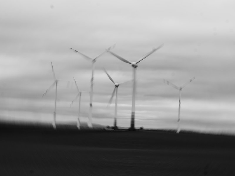 ci_PG9_0836.jpg