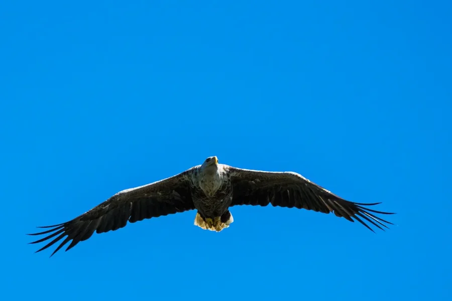 Prerow 2019_569_N.jpg