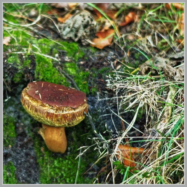 _small__IMG4857_1_DxO.webp