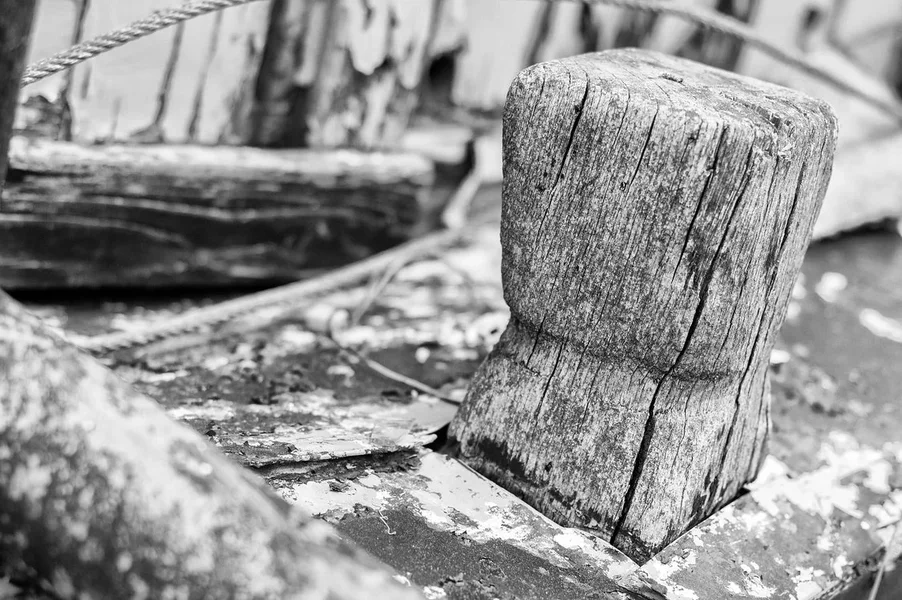 crazy-photo-le__DSC6888-2.webp