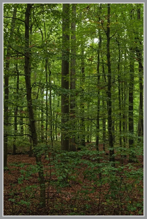 _small__IMG4459_1_DxO.webp