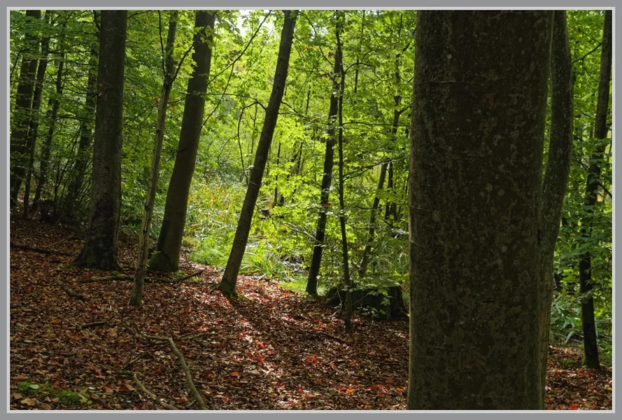 _small__IMG4464_1_DxO.webp