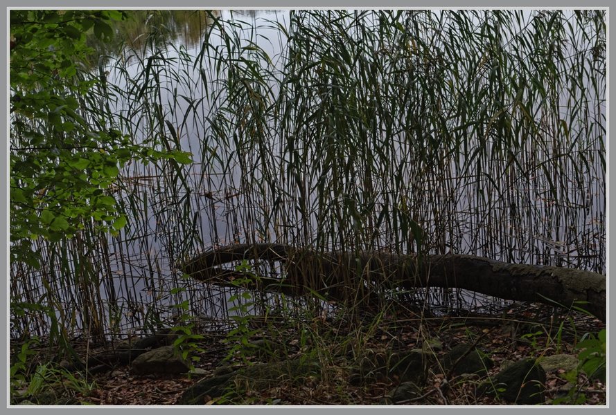 _small__IMG4497_1_DxO.JPG
